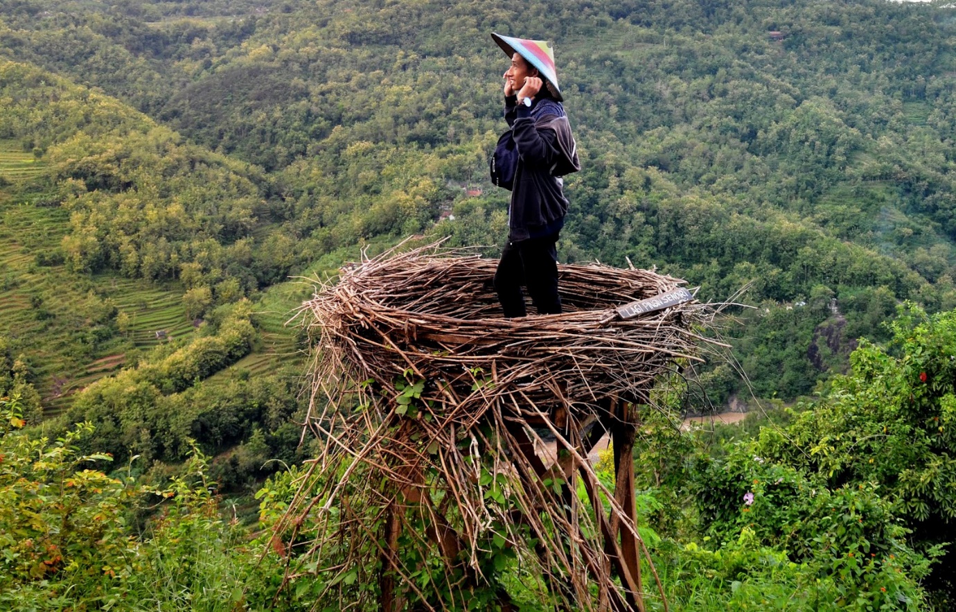 Indahnya Bukit Mojo Gumelem, Spot Sarang Burung Cocok Foto Selfie